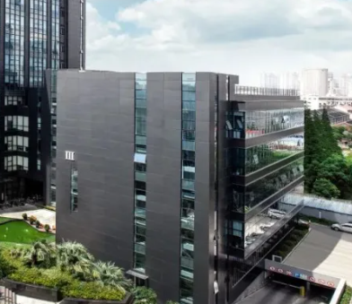 市政绿化工程施工中的苗木成活率提升技术要点解析